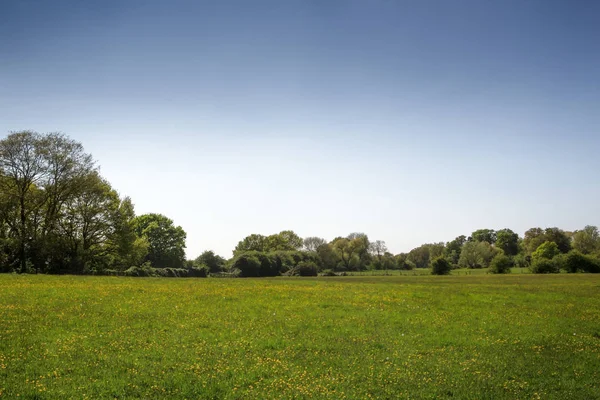 Landsacape Imagen Campos Verdes Houghton Cambridgeshire Inglaterra — Foto de Stock