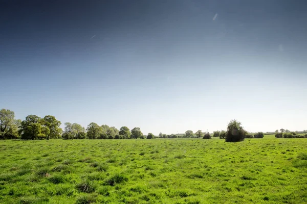 Imagem Landsacape Campos Verdes Houghton Cambridgeshire Inglaterra — Fotografia de Stock