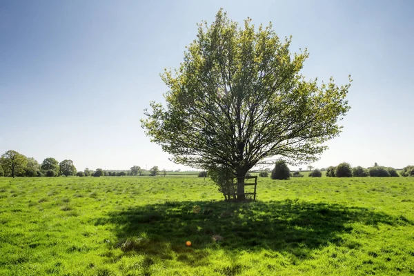 Zöld Mezők Angliai Cambridgeshire Houghton Landsacape Kép — Stock Fotó