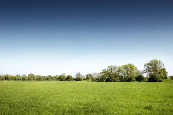 Landsacape Imagen Campos Verdes Houghton Cambridgeshire Inglaterra — Foto de Stock