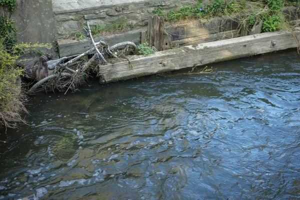 bir nehir çöp gibi atılmış eski itme motor