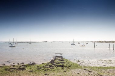 Manzaralı maldon ve heybridge çevresinde