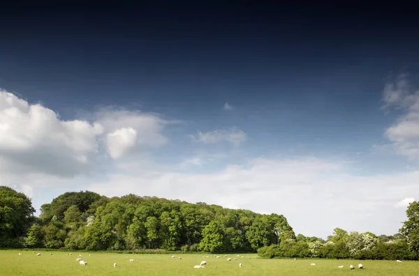 Hermosa Imagen Del Paisaje Constable Country Inglaterra —  Fotos de Stock