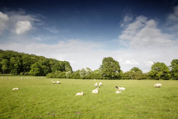 Piękny Krajobraz Obrazu Constable Country Anglii — Zdjęcie stockowe