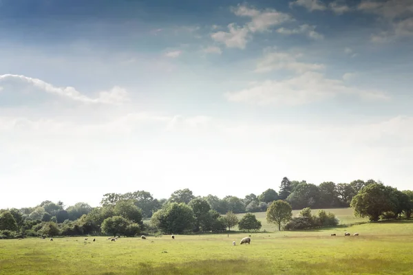 Красивые Пейзажи Констебля Страна Англии — стоковое фото