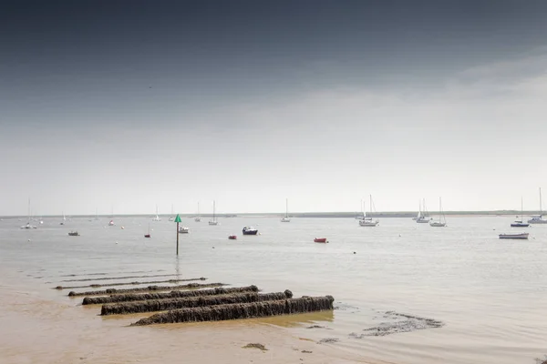 Tittar Den Rive Huka Från Promenad Längs Flodstranden — Stockfoto