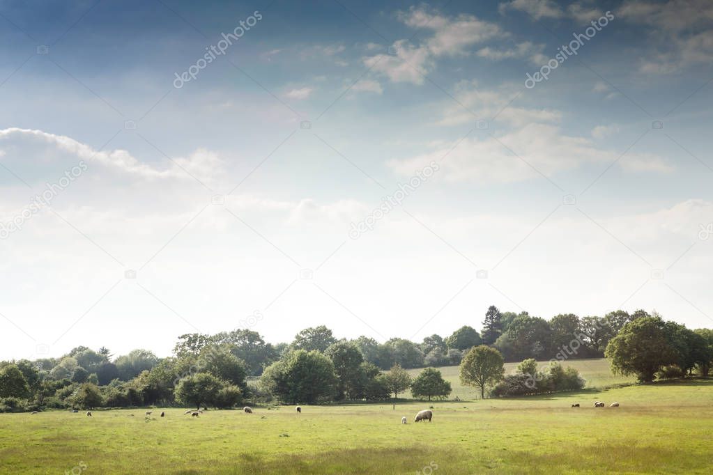 beautiful landscape image of Constable Country in england