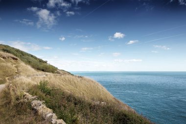 Anvil noktasının kıyı şeridi boyunca manzara resim
