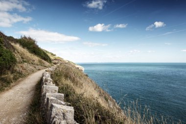 Anvil noktasının kıyı şeridi boyunca manzara resim
