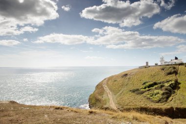 Anvil noktasının kıyı şeridi boyunca manzara resim
