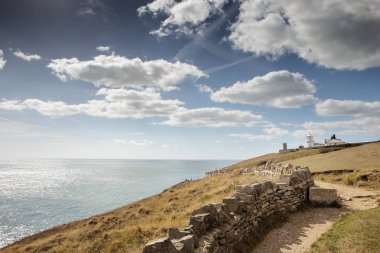 Anvil noktasının kıyı şeridi boyunca manzara resim