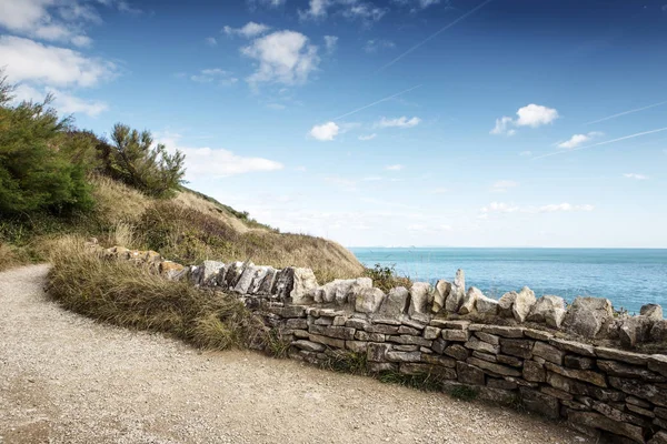 Immagine Del Paesaggio Lungo Costa Anvil Point — Foto Stock