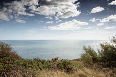 Anvil noktasının kıyı şeridi boyunca manzara resim