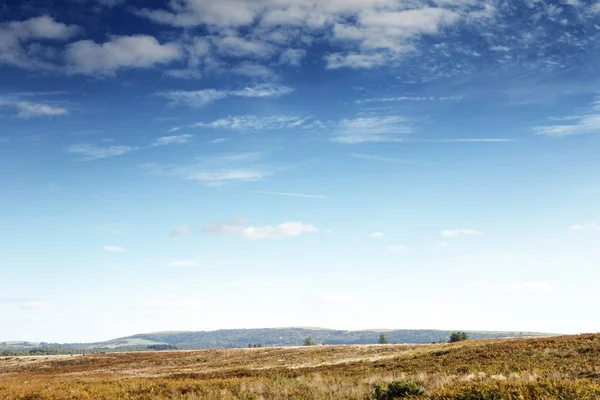 Красивий Краєвид Stoborough Heath Місті Wareham Dorset — стокове фото