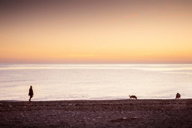 almunecar İspanya bir plajda onun köpekleri againts alacakaranlık yürüyen adam silüeti