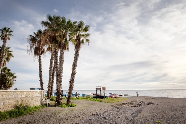 Пальмы на пляже в Испании — стоковое фото