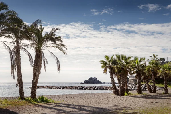 Palmeras en una playa en España —  Fotos de Stock