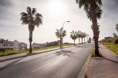 İspanya'da ağaç kaplı yol