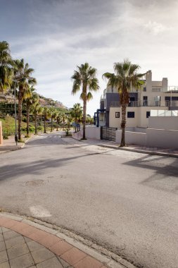 Yol boyunca ağaçlar