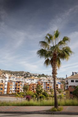 Yol boyunca ağaçlar