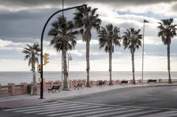 Пальмы вдоль дороги в Испании — стоковое фото