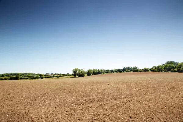 Panoramatický Krajinný Obraz Pole Bez Známek Jakéhokoliv Pěstování Plodin — Stock fotografie
