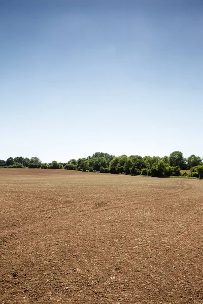 Immagine Panoramica Del Paesaggio Campo Senza Alcun Segno Della Coltivazione — Foto Stock