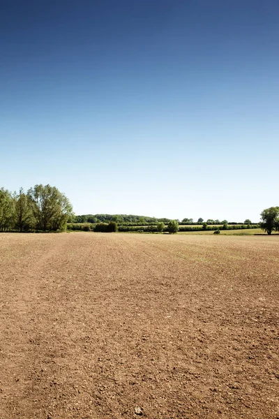 Panoramisch Landschap Beeld Van Een Veld Zonder Tekenen Van Het — Stockfoto