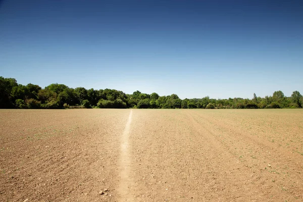 Imagem Panorâmica Paisagem Campo Sem Sinais Qualquer Cultivo — Fotografia de Stock