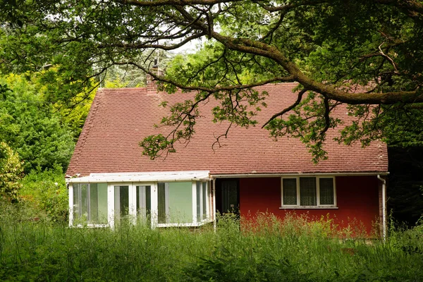 Single Brick House Set Wood All Alone — Stock Photo, Image