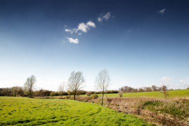 Essex İngiltere 'sindeki Hatfield Peverel' in hemen dışındaki nehir kıyısındaki ağaçlar.