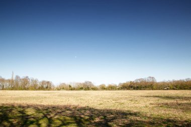 Essex İngiltere 'sindeki Hatfield Peverel köyünün yakınındaki tarım arazisi.