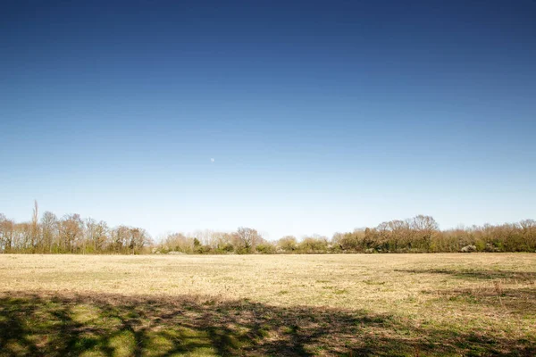 Essex İngiltere 'sindeki Hatfield Peverel köyünün yakınındaki tarım arazisi.