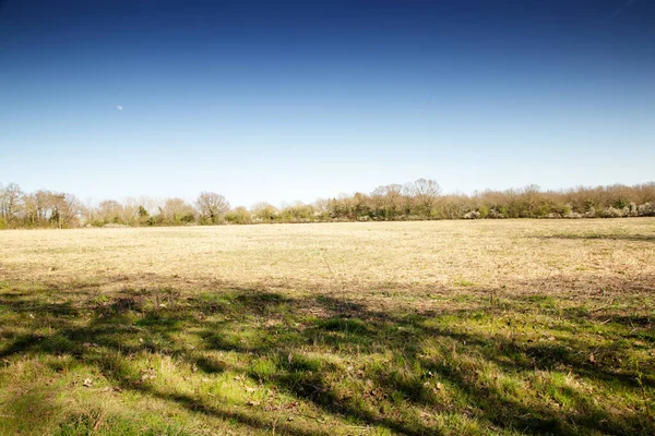 Zemědělská Půda Blízkosti Obce Město Hatfield Peverel Essexu Anglie — Stock fotografie