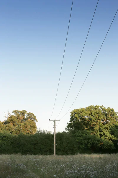 Essex İngiltere 'sindeki bir alandan geçen elektrik hatları