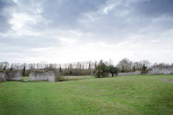 Godstow Abbey Godstow Nunnery Godstow Thames 초원에 — 스톡 사진