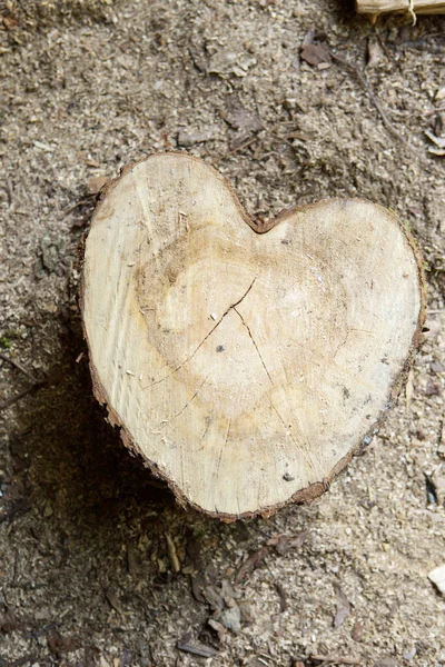 Дерево Записується Вантажівкою Формі Любовного Серця — стокове фото