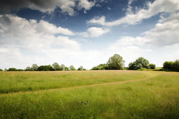 Sentiero Binario Unico Lungo Terreno Agricolo — Foto Stock