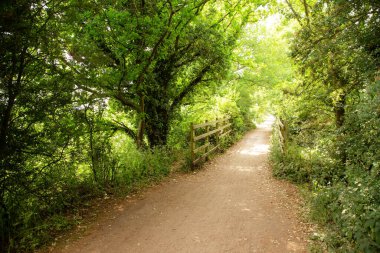 Bisiklet sürmek ve bir zamanlar tren yolu olan yolda yürümek için harika bir yol.