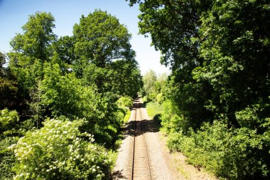 Her iki tarafında ağaçlar olan tek bir tren yolu ormanı kesiyor.