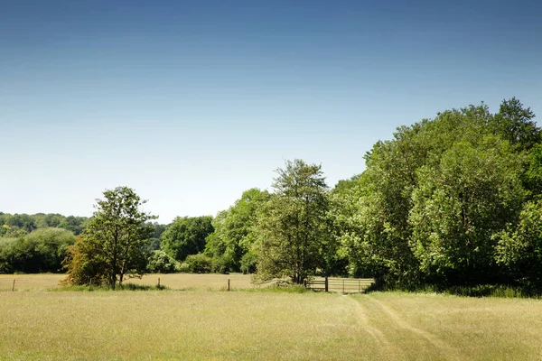 Veld Het Essex Platteland Van Engeland — Stockfoto