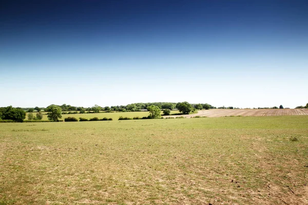 Framland Field Essex Countryside England — Stock fotografie