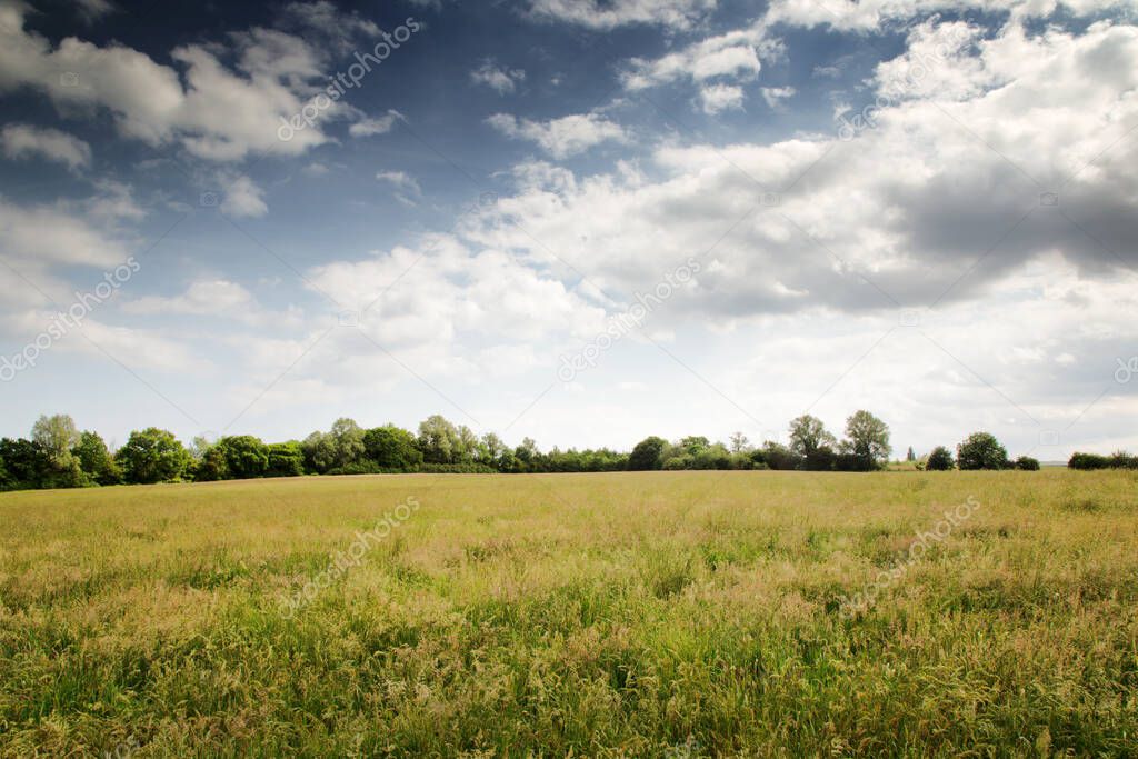 farmland in the essex countryside of england