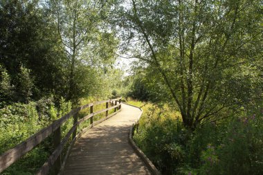 Oxfordshire İngiltere 'sindeki Hanwell Brook Wetland' daki tahta patika.
