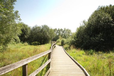 Oxfordshire İngiltere 'sindeki Hanwell Brook Wetland' daki tahta patika.