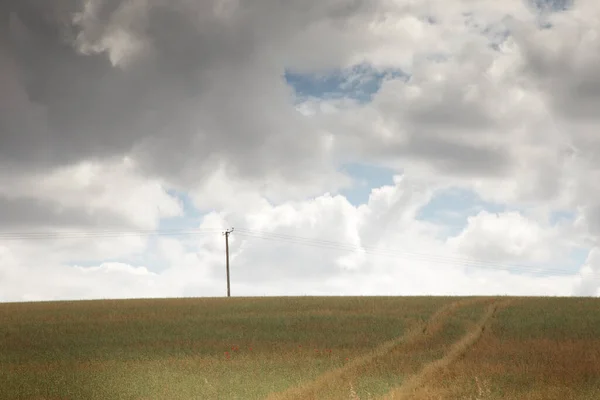 Kleine Stromleitungen Auf Landwirtschaftlichen Flächen England — Stockfoto