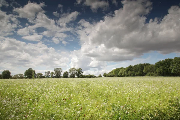 イギリスのバンベリーのすぐ南にあるオックスフォードシャー村のアドダーベリー円形散歩で撮影された風景 — ストック写真