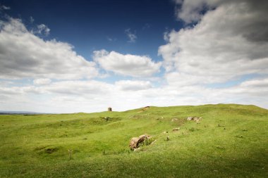 manzara görüntüsü Warwickshire İngiltere 'deki Burton Dassett Hills kır parkından 