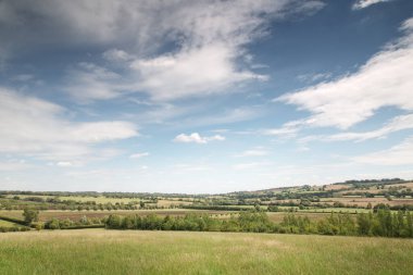Oxfordshire kırsalındaki tarım arazisinin manzarası.