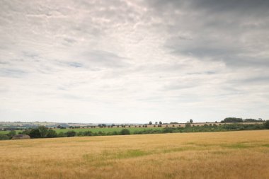 Oxfordshire kırsalındaki tarım arazisinin manzarası.